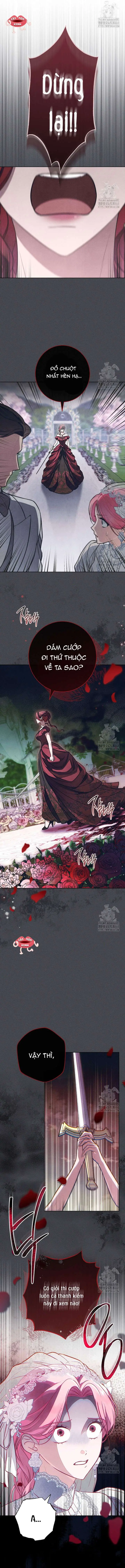 Nỗi Ám Ảnh Dành Cho Công Tước Phu Nhân Chapter 17 - Trang 3