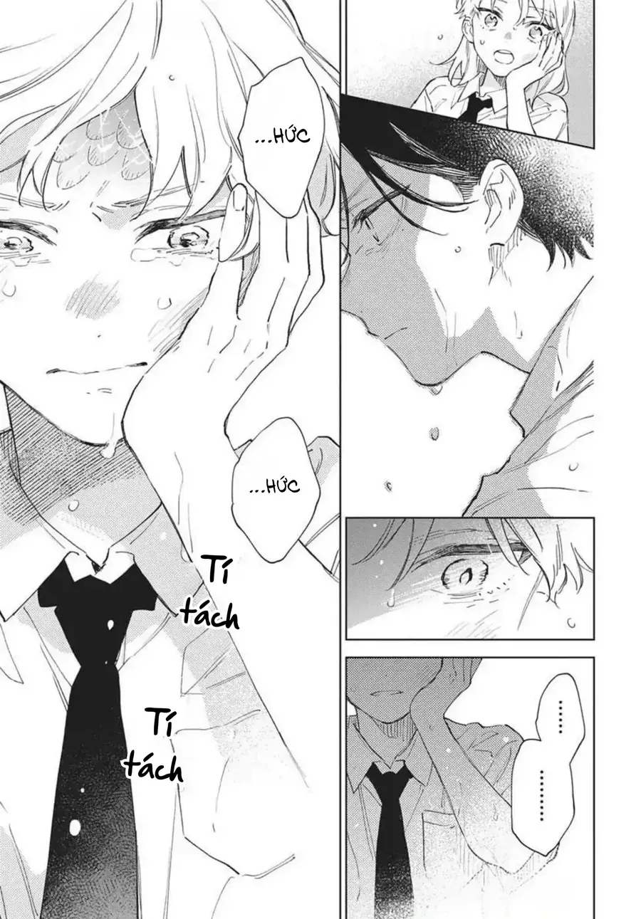 Nơi Gió Biển Ru Giấc Rồng Thiêng. Chapter 8 - Trang 8