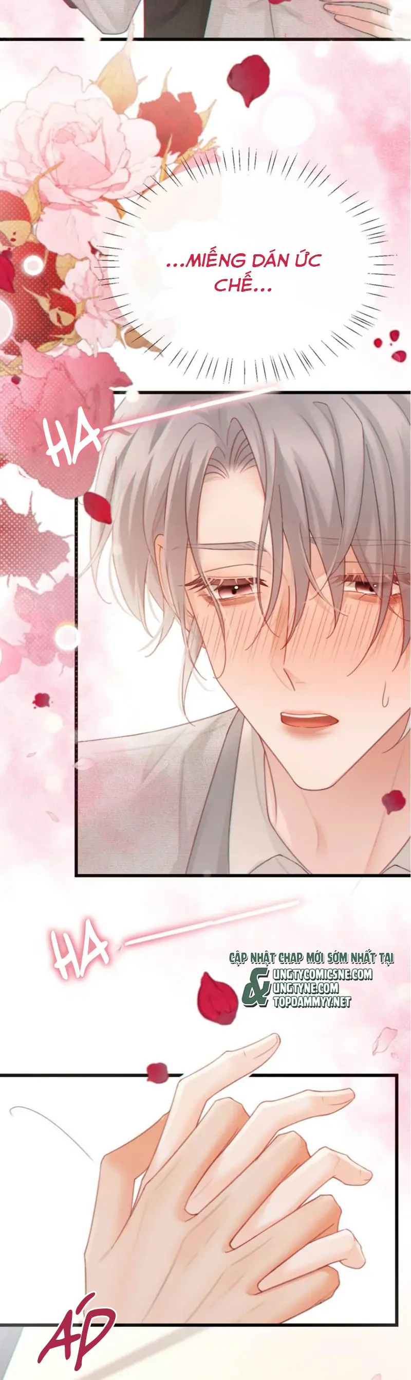 Nồng Đậm Tin Tức Tố Chapter 11 - Trang 16