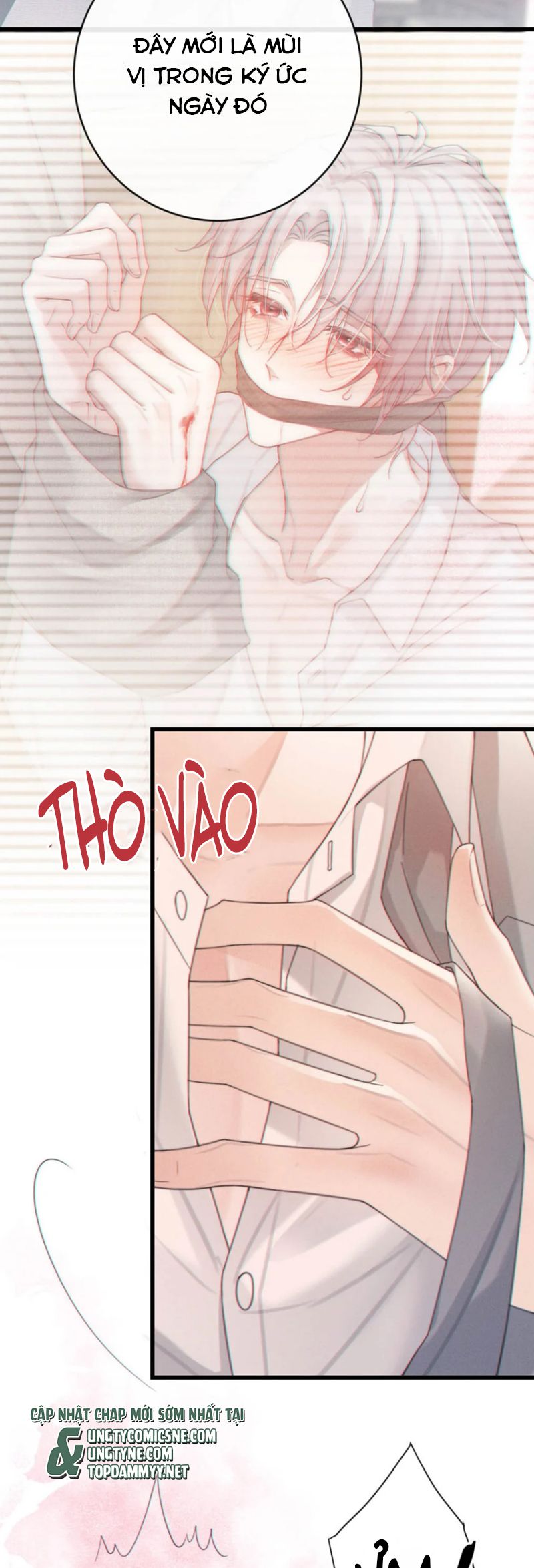 Nồng Đậm Tin Tức Tố Chapter 11 - Trang 19