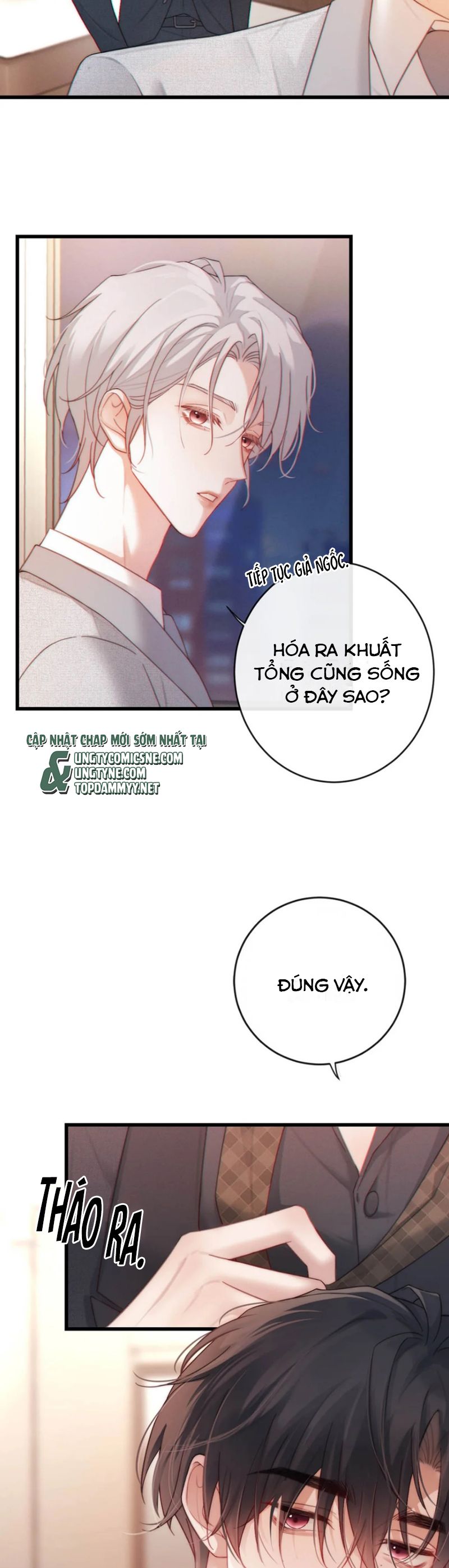 Nồng Đậm Tin Tức Tố Chapter 11 - Trang 5