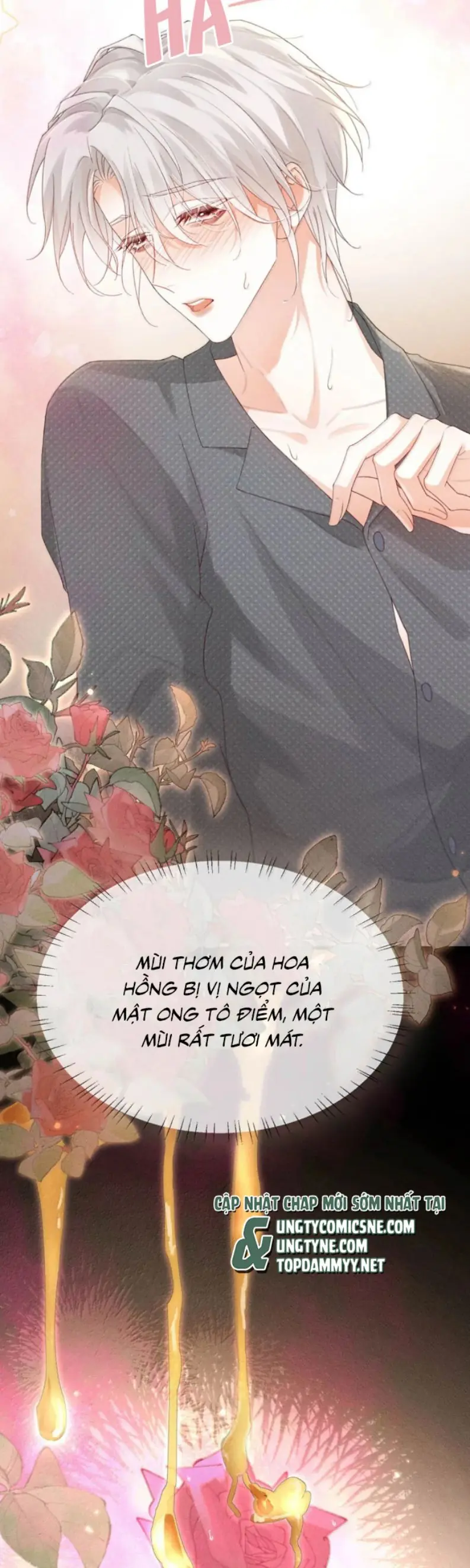 Nồng Đậm Tin Tức Tố Chapter 23 - Trang 21