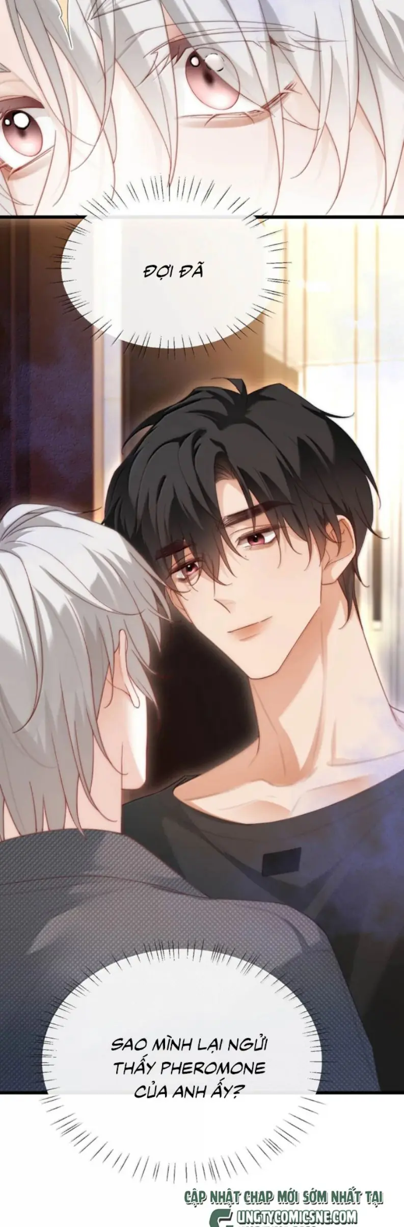 Nồng Đậm Tin Tức Tố Chapter 23 - Trang 6