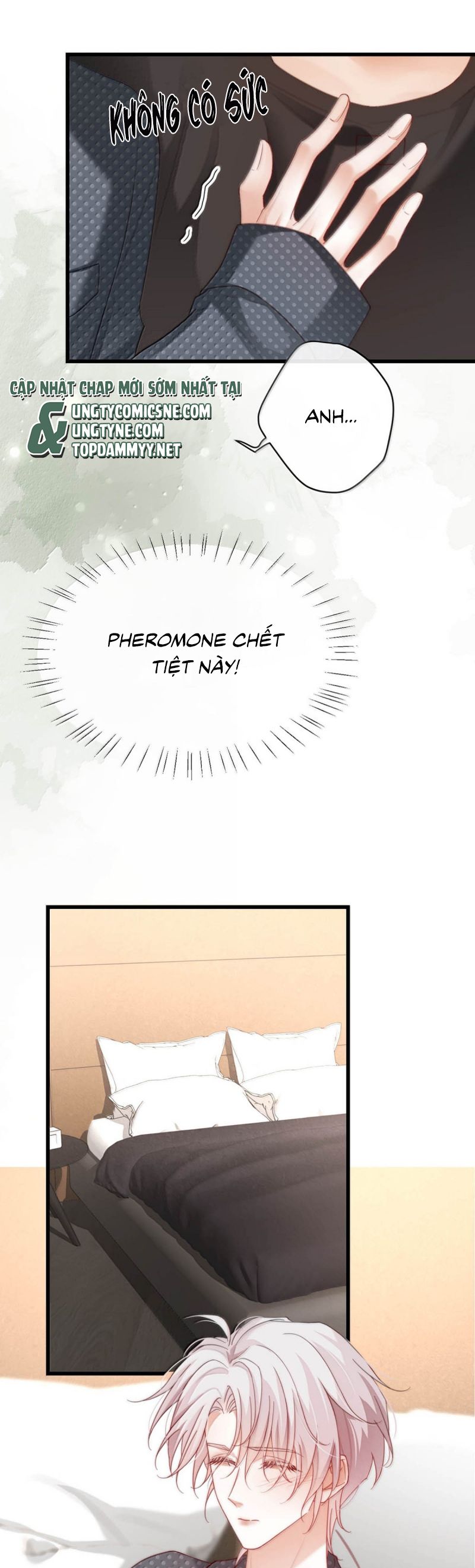 Nồng Đậm Tin Tức Tố Chapter 24 - Trang 13