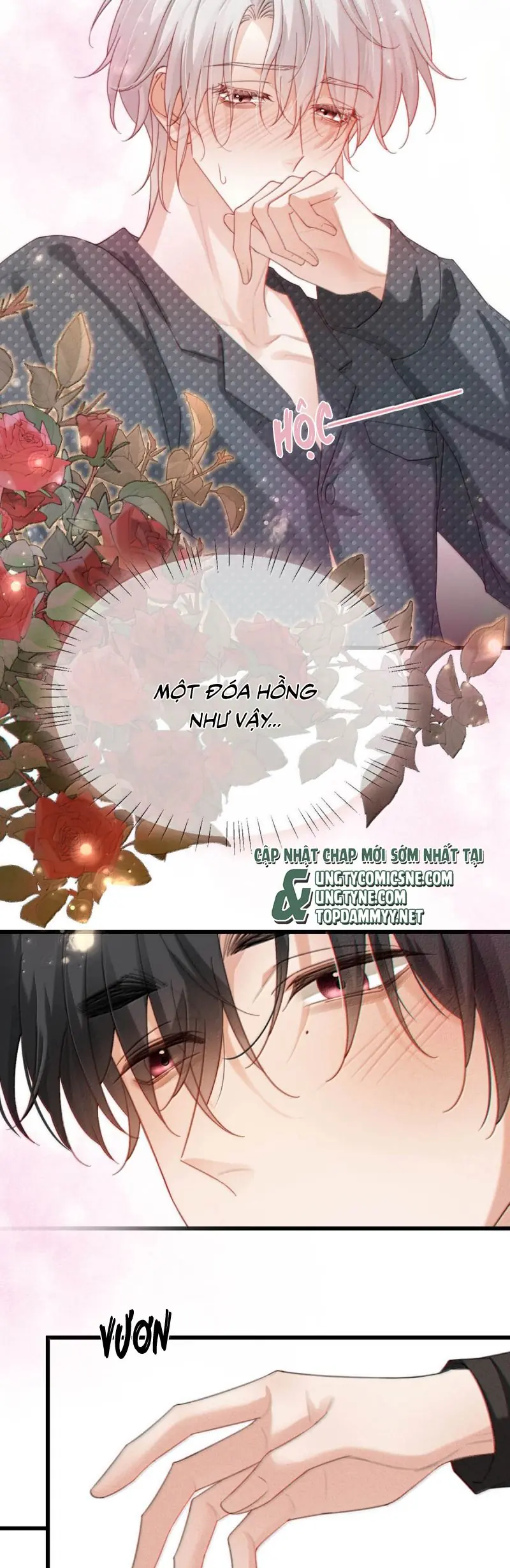 Nồng Đậm Tin Tức Tố Chapter 24 - Trang 3