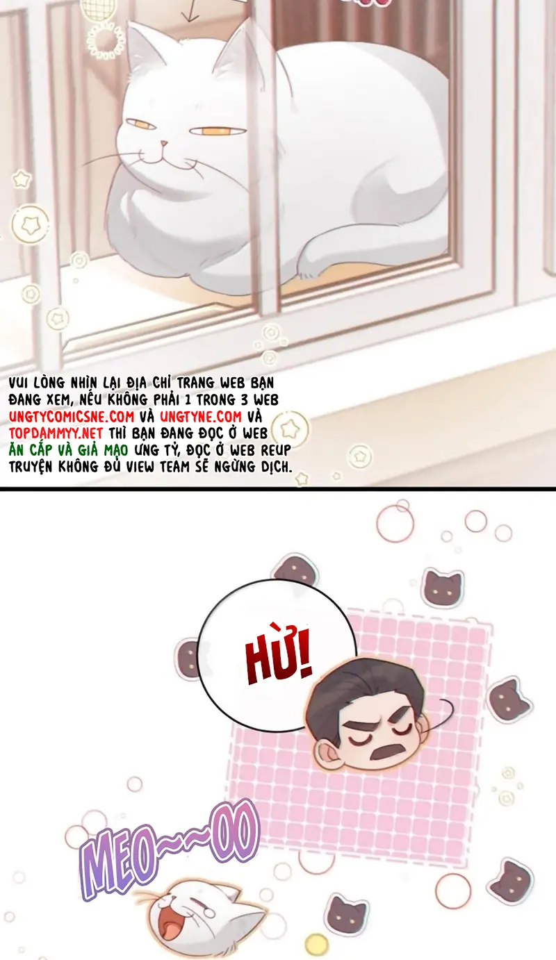 Nồng Đậm Tin Tức Tố Chapter 42 - Trang 21