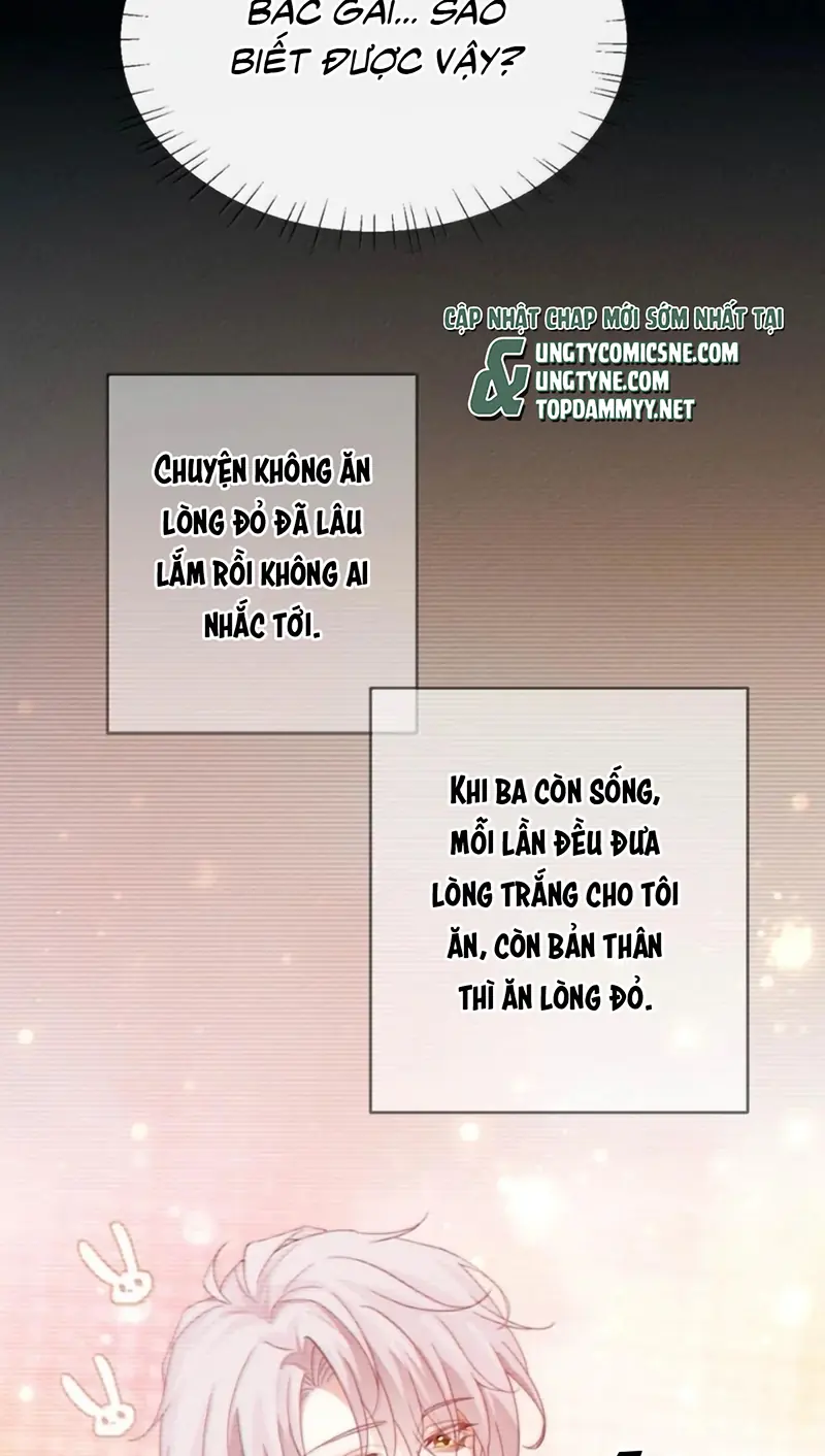 Nồng Đậm Tin Tức Tố Chapter 42 - Trang 24