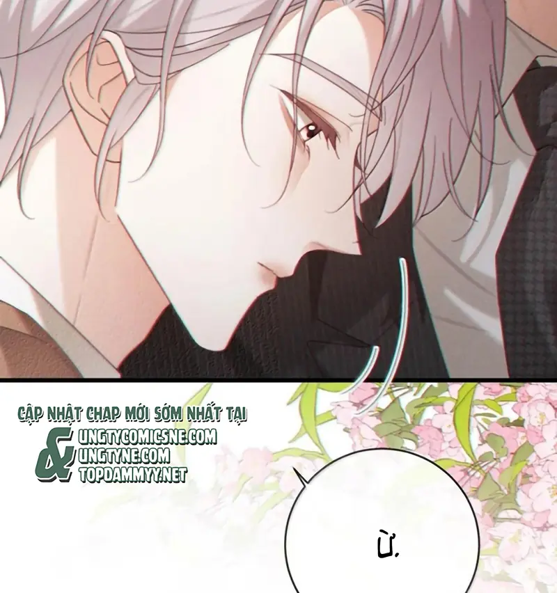 Nồng Đậm Tin Tức Tố Chapter 46 - Trang 37