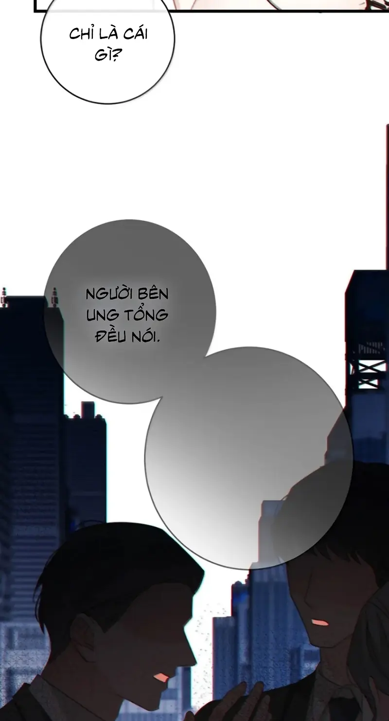 Nồng Đậm Tin Tức Tố Chapter 48 - Trang 15