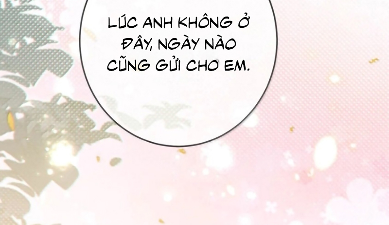Nồng Đậm Tin Tức Tố Chapter 52 - Trang 33