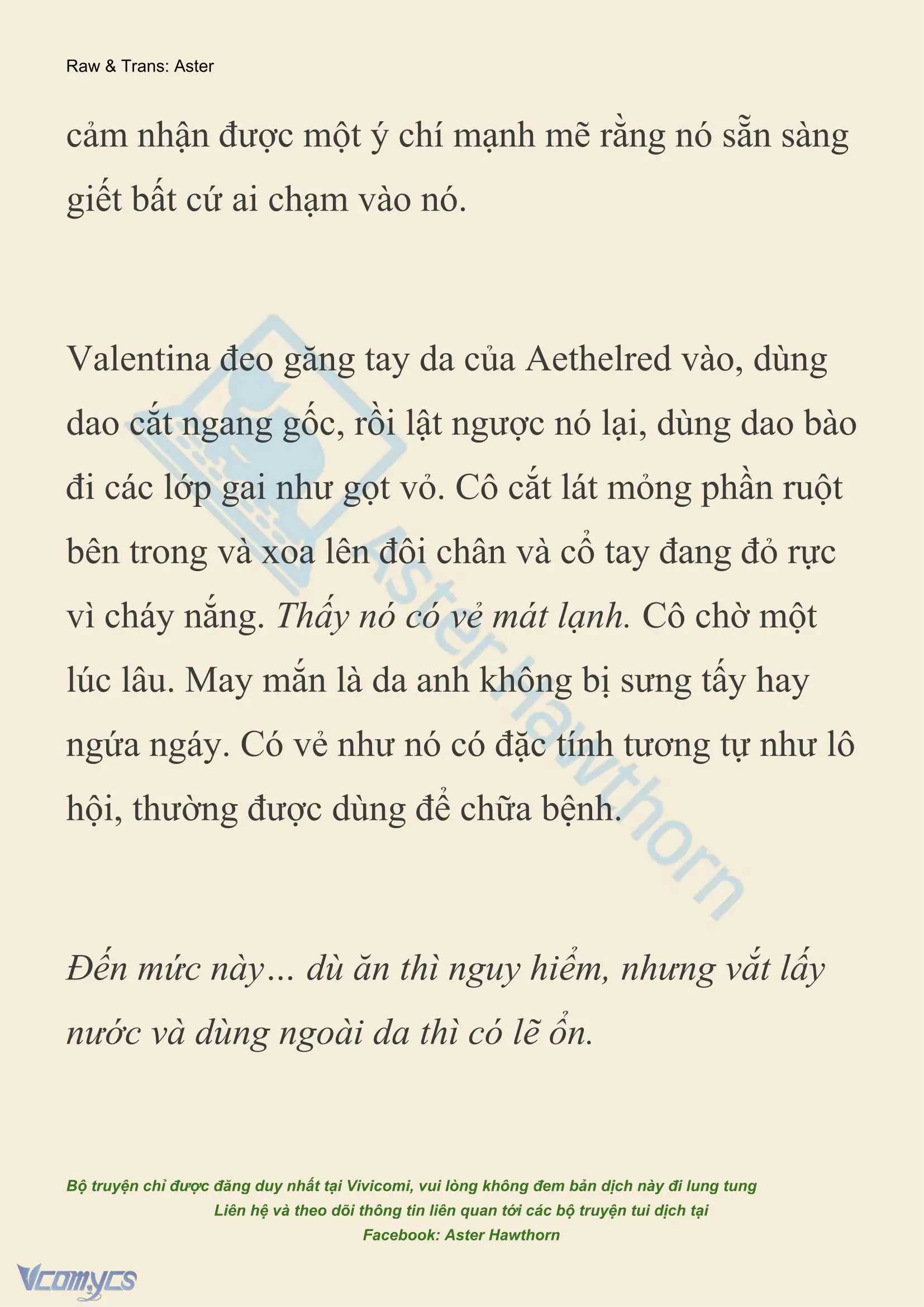 [NOVEL] Thiên Đường Của Valentina Chapter 248 - Trang 7