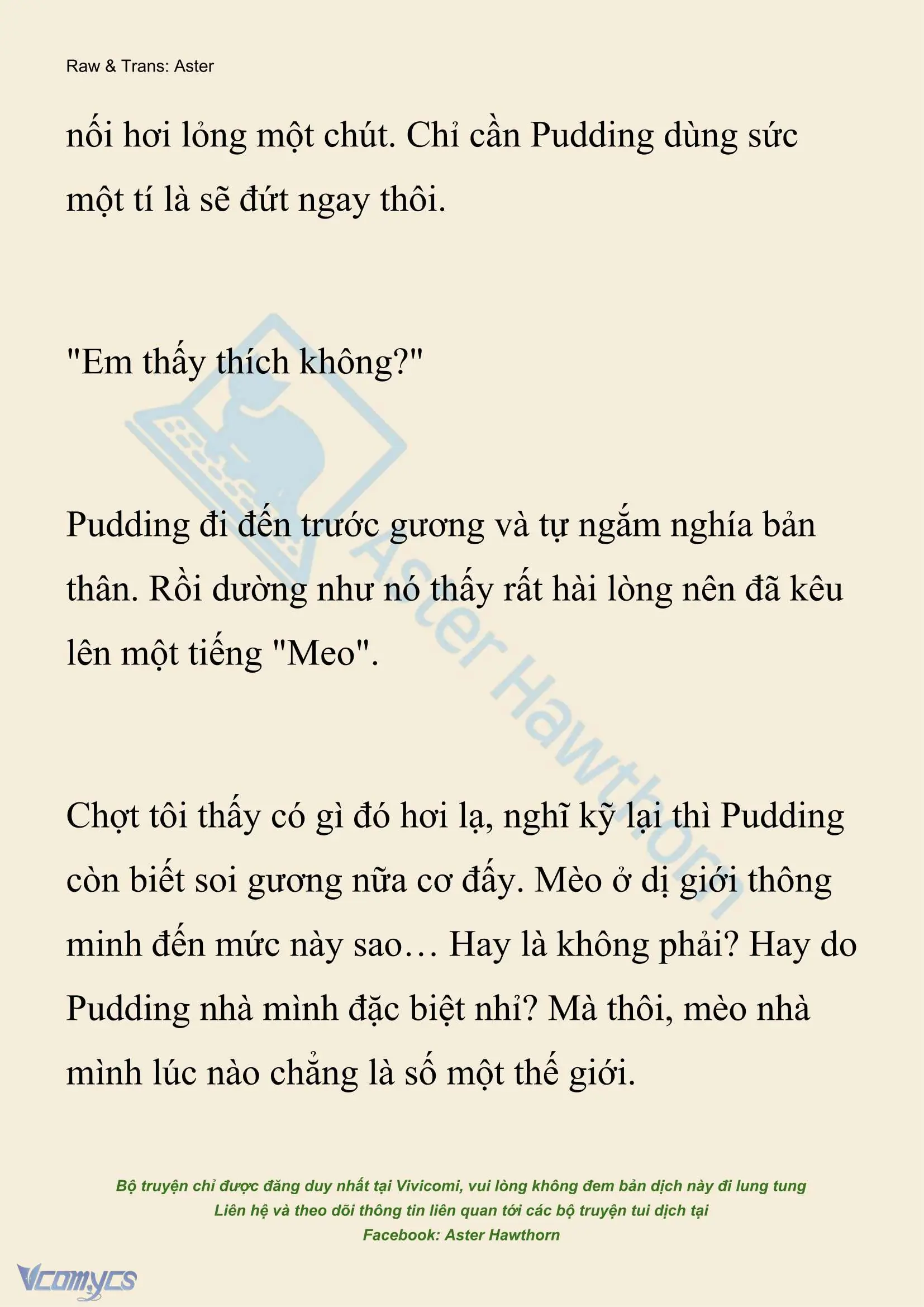 [NOVEL] Xuyên Vào Tiểu Thuyết, Tôi Thành Truyền Thuyết Rùng Rợn Chapter 3 - Trang 11