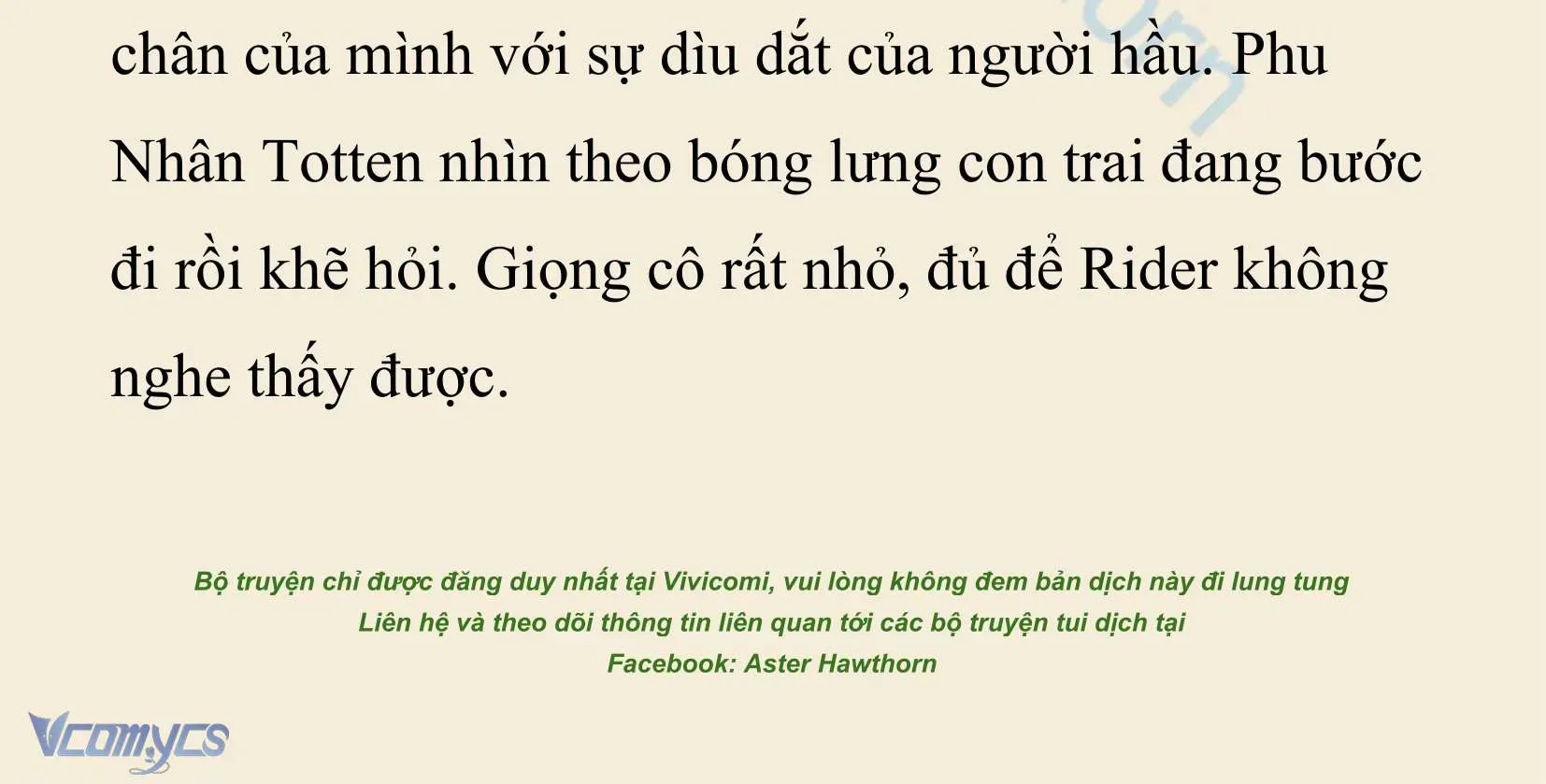 [NOVEL] Xuyên Vào Tiểu Thuyết, Tôi Thành Truyền Thuyết Rùng Rợn Chapter 53.1 - Trang 13