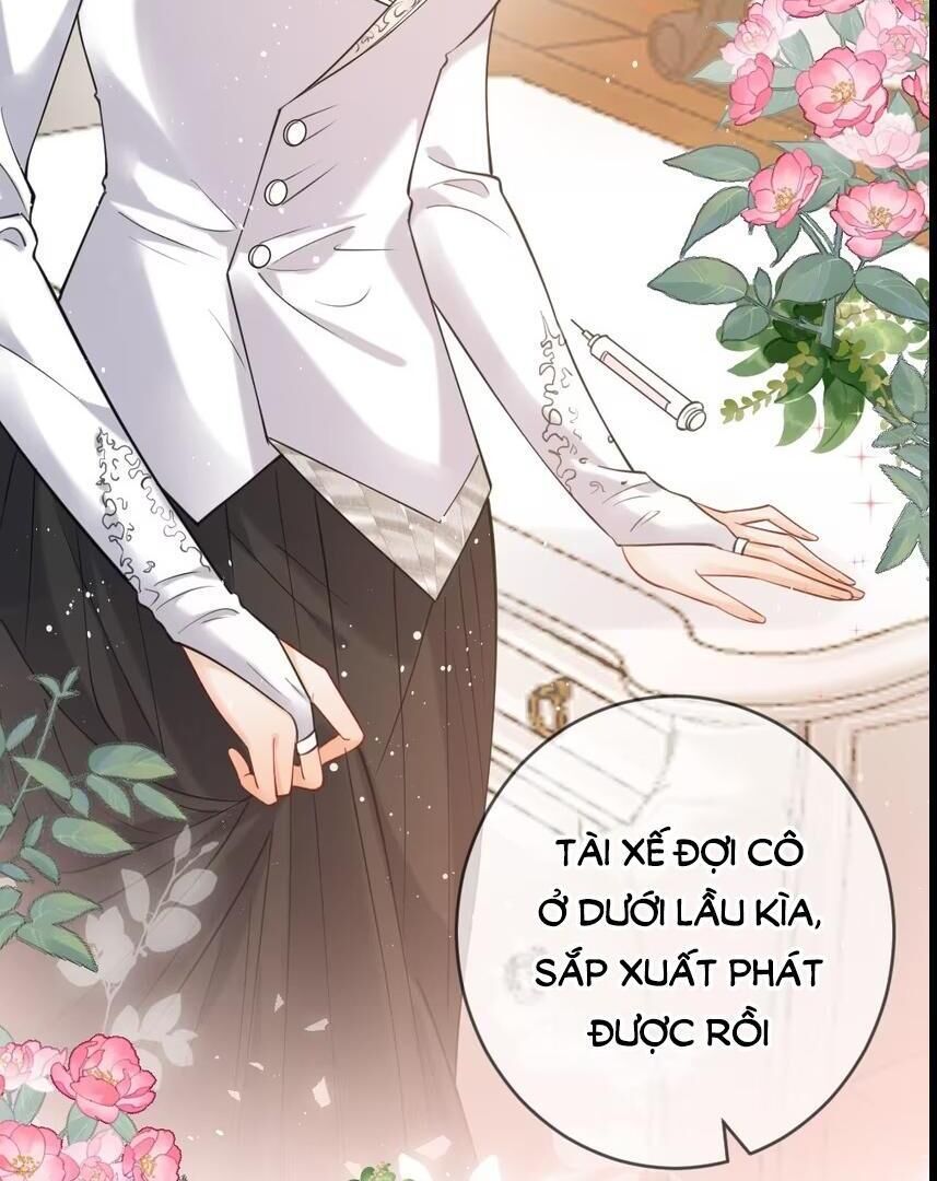 Nữ Chính Hắc Nguyệt Quang Luôn Muốn Đánh Dấu Tôi Chapter 11 - Trang 8