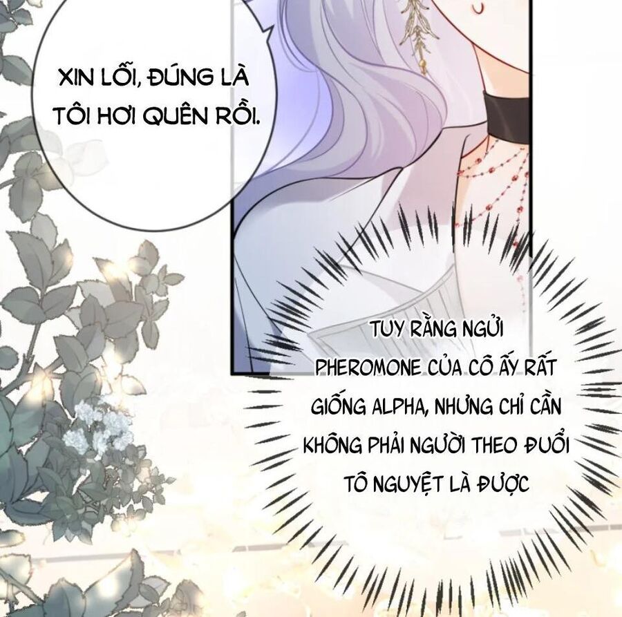 Nữ Chính Hắc Nguyệt Quang Luôn Muốn Đánh Dấu Tôi Chapter 12 - Trang 16