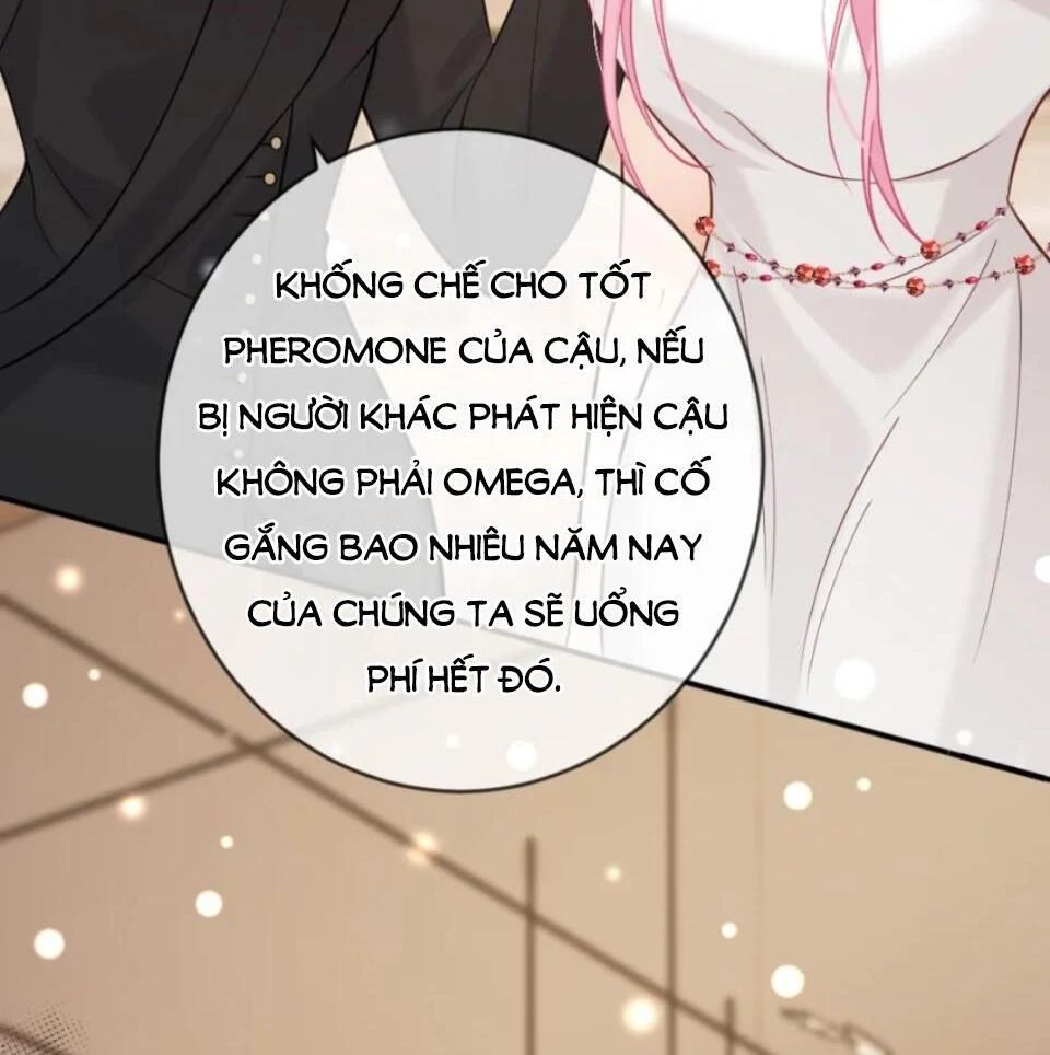Nữ Chính Hắc Nguyệt Quang Luôn Muốn Đánh Dấu Tôi Chapter 13 - Trang 16