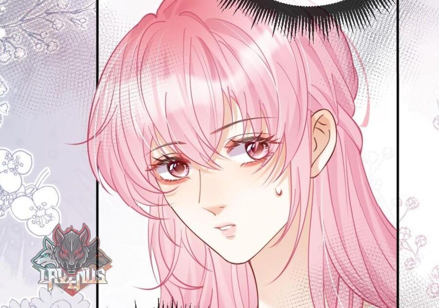 Nữ Chính Hắc Nguyệt Quang Luôn Muốn Đánh Dấu Tôi Chapter 14 - Trang 15