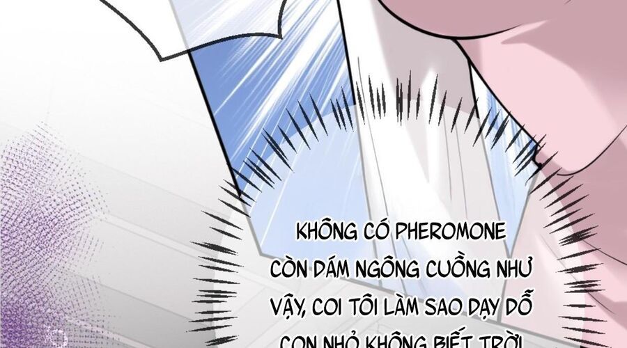 Nữ Chính Hắc Nguyệt Quang Luôn Muốn Đánh Dấu Tôi Chapter 15 - Trang 10