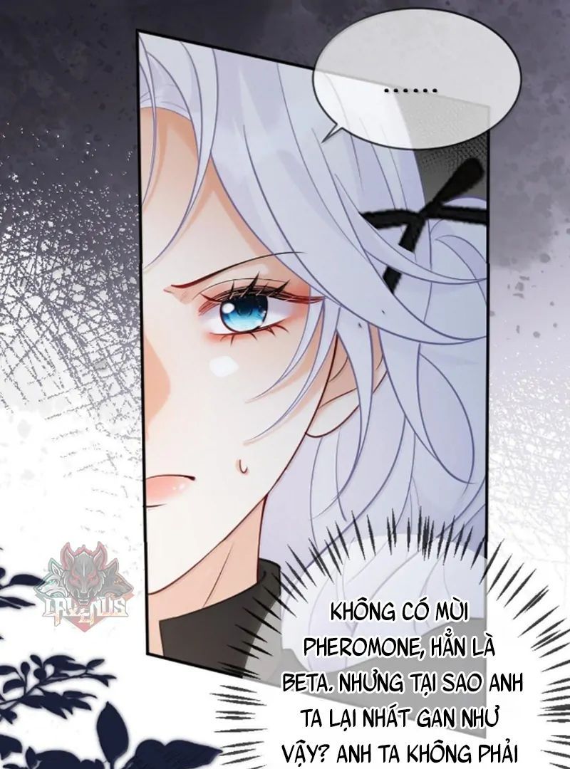 Nữ Chính Hắc Nguyệt Quang Luôn Muốn Đánh Dấu Tôi Chapter 19 - Trang 28