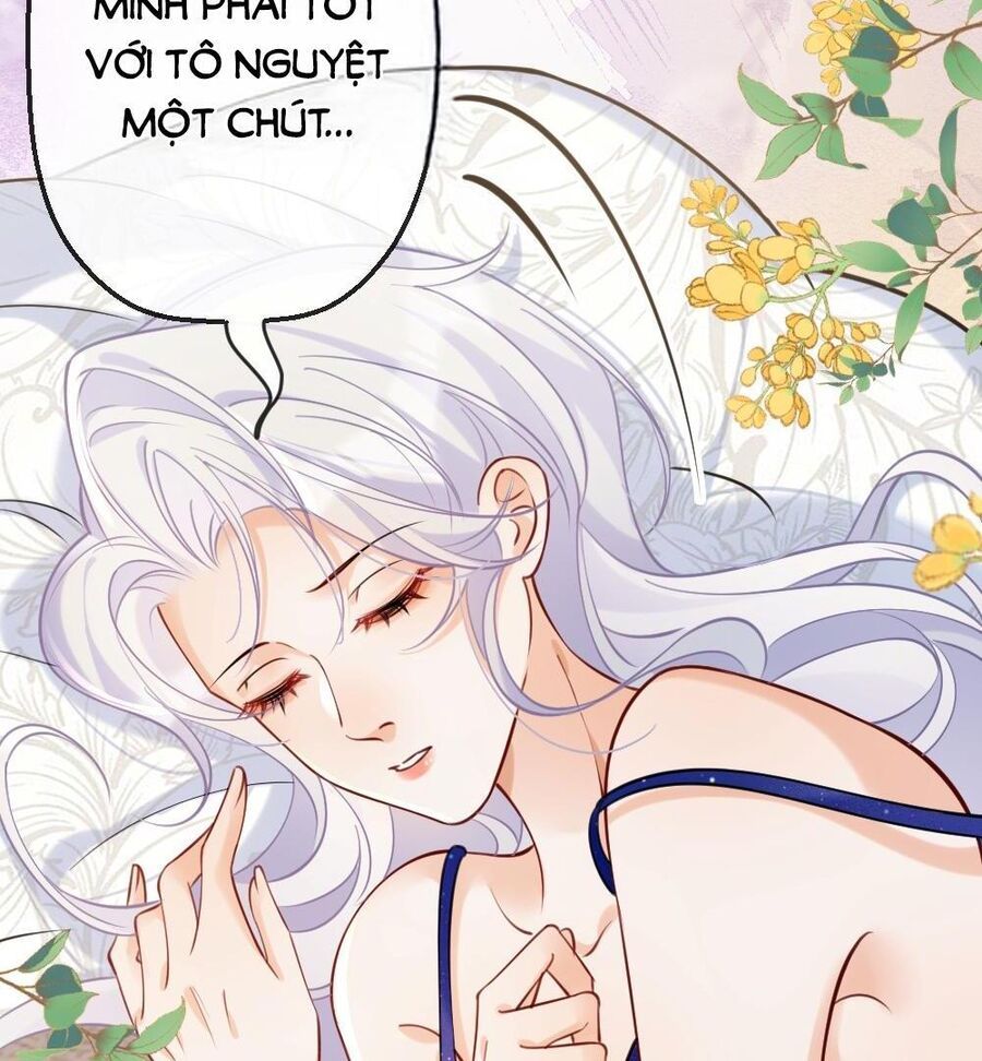 Nữ Chính Hắc Nguyệt Quang Luôn Muốn Đánh Dấu Tôi Chapter 2 - Trang 4