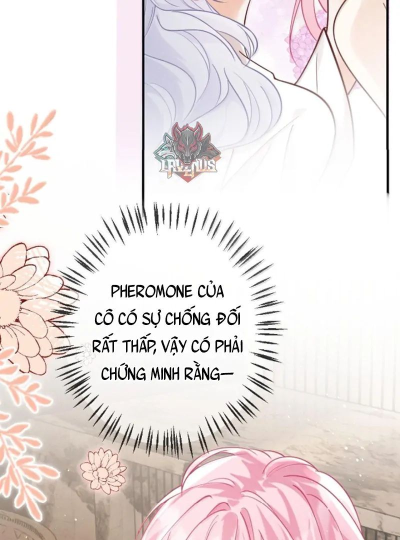 Nữ Chính Hắc Nguyệt Quang Luôn Muốn Đánh Dấu Tôi Chapter 21 - Trang 34