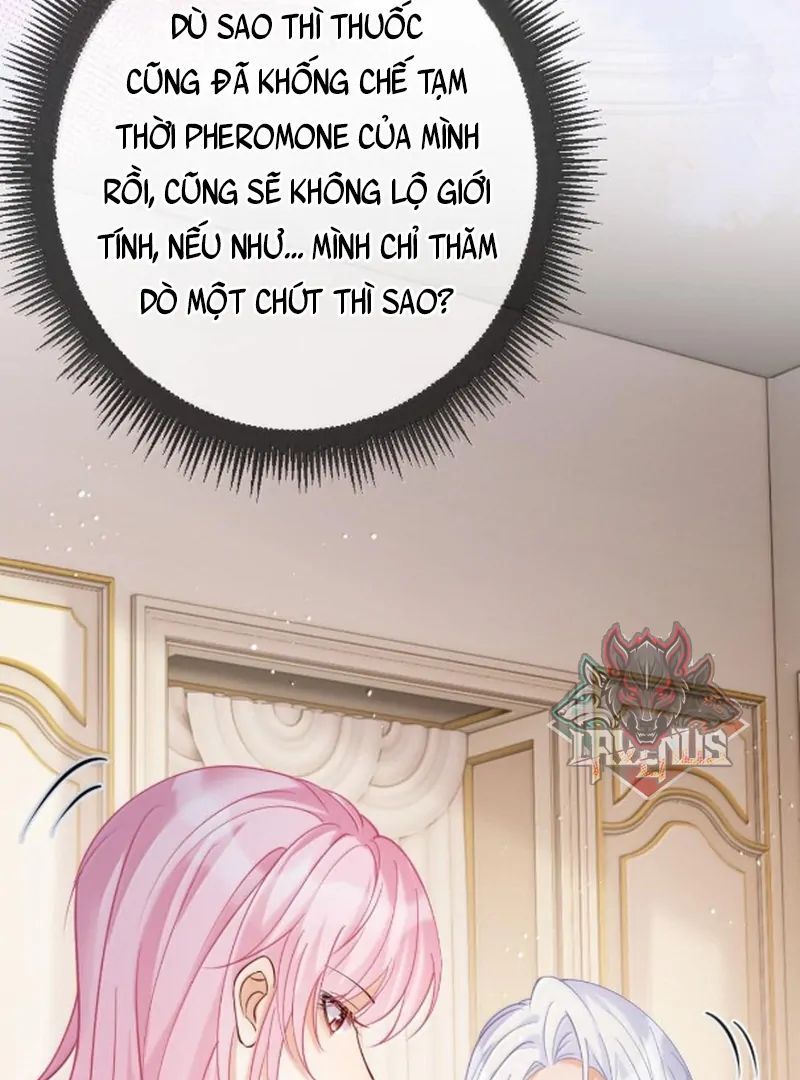 Nữ Chính Hắc Nguyệt Quang Luôn Muốn Đánh Dấu Tôi Chapter 28 - Trang 30