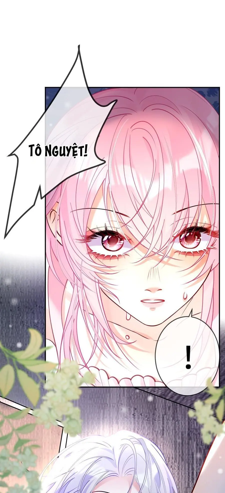 Nữ Chính Hắc Nguyệt Quang Luôn Muốn Đánh Dấu Tôi Chapter 3 - Trang 5