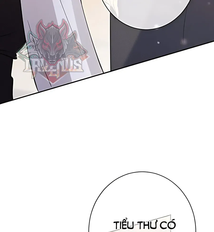 Nữ Chính Hắc Nguyệt Quang Luôn Muốn Đánh Dấu Tôi Chapter 39 - Trang 12