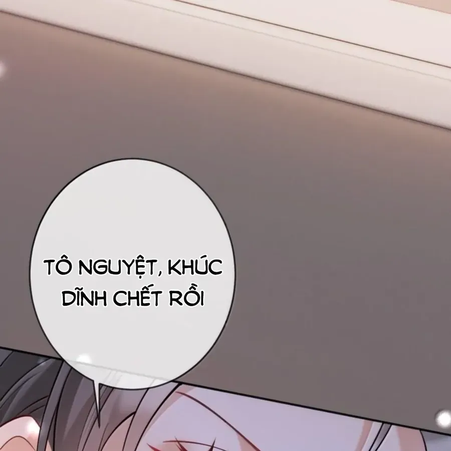 Nữ Chính Hắc Nguyệt Quang Luôn Muốn Đánh Dấu Tôi Chapter 40 - Trang 28