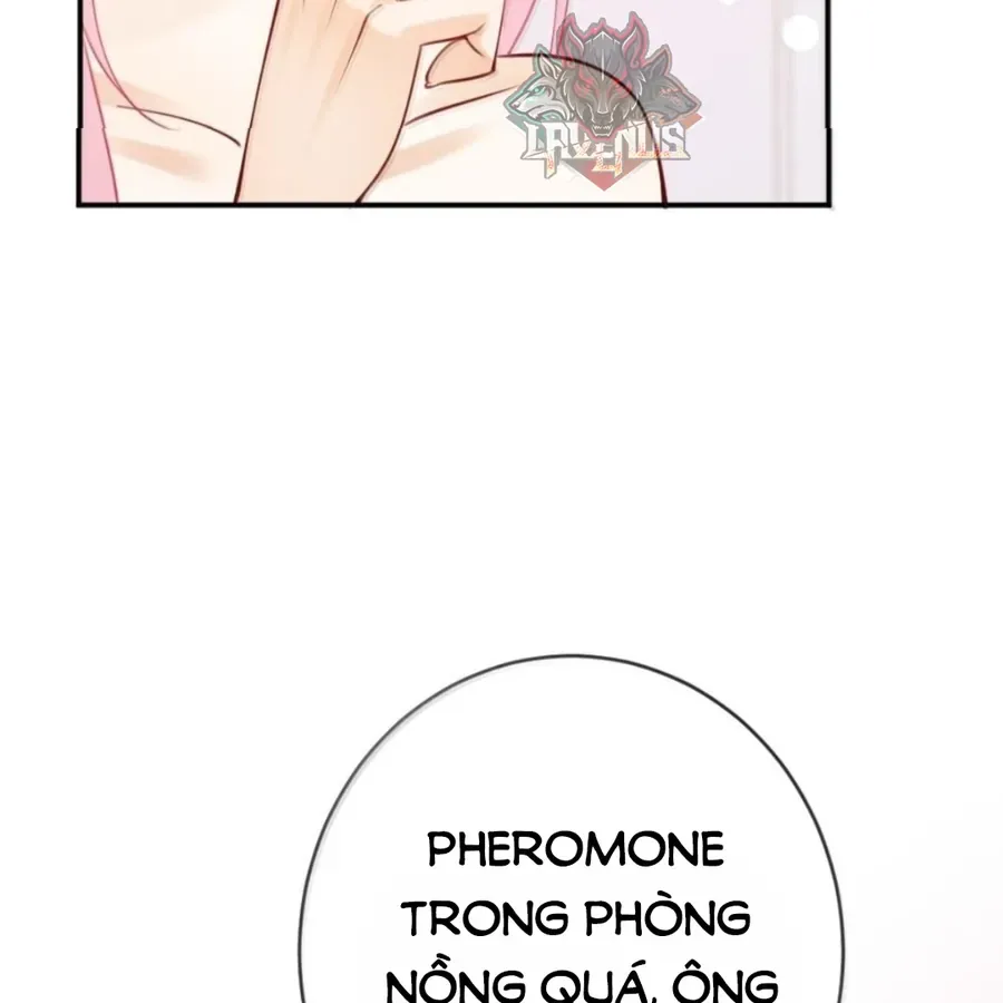 Nữ Chính Hắc Nguyệt Quang Luôn Muốn Đánh Dấu Tôi Chapter 42 - Trang 23