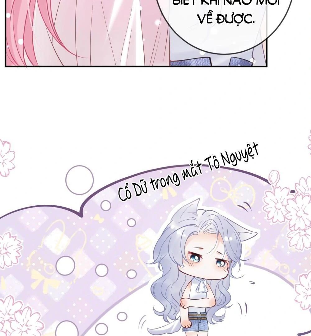 Nữ Chính Hắc Nguyệt Quang Luôn Muốn Đánh Dấu Tôi Chapter 6 - Trang 19