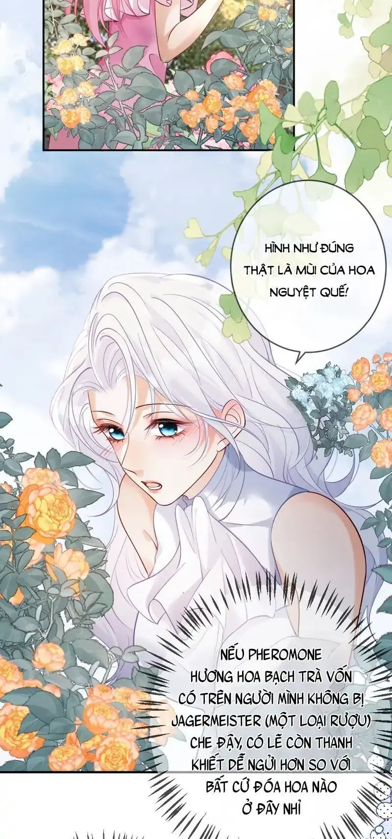 Nữ Chính Hắc Nguyệt Quang Luôn Muốn Đánh Dấu Tôi Chapter 7 - Trang 30