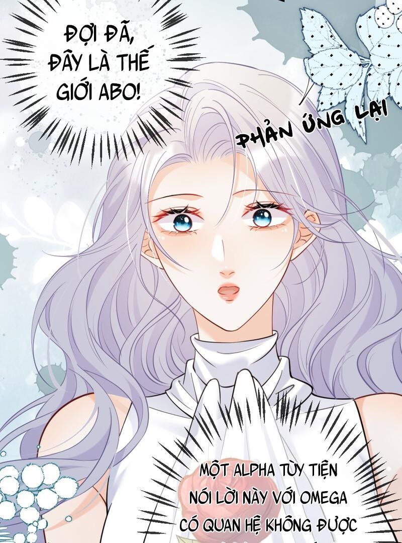Nữ Chính Hắc Nguyệt Quang Luôn Muốn Đánh Dấu Tôi Chapter 8 - Trang 3