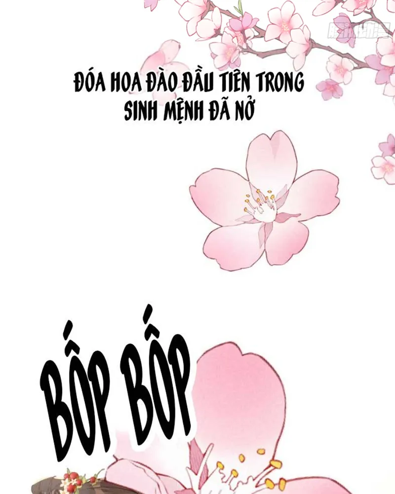 Nữ Chính ta Từ Chối Não Bộ yêu Đương Chapter 3 - Trang 48