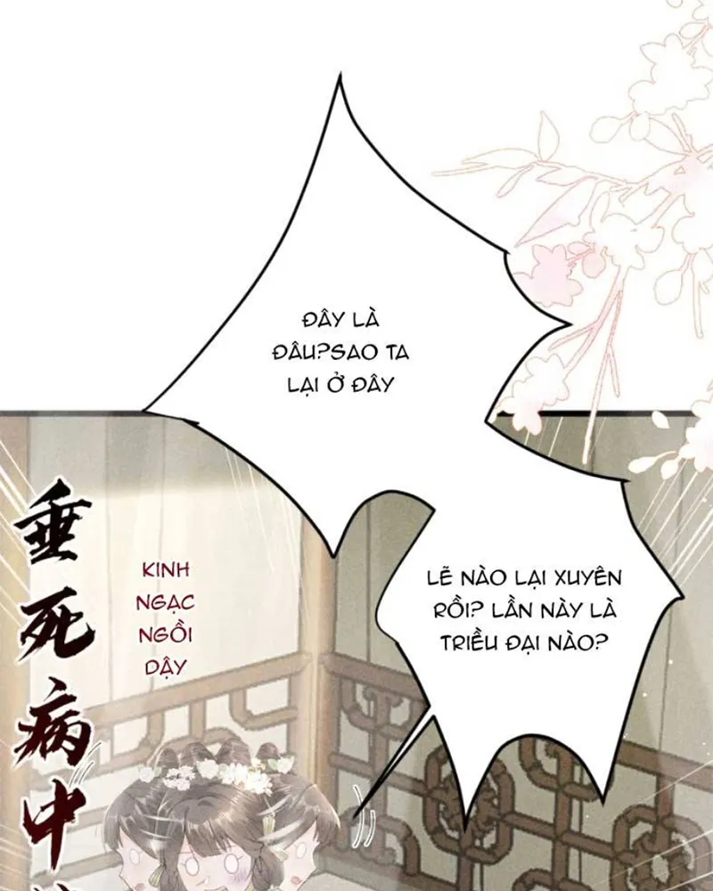 Nữ Chính ta Từ Chối Não Bộ yêu Đương Chapter 5 - Trang 2