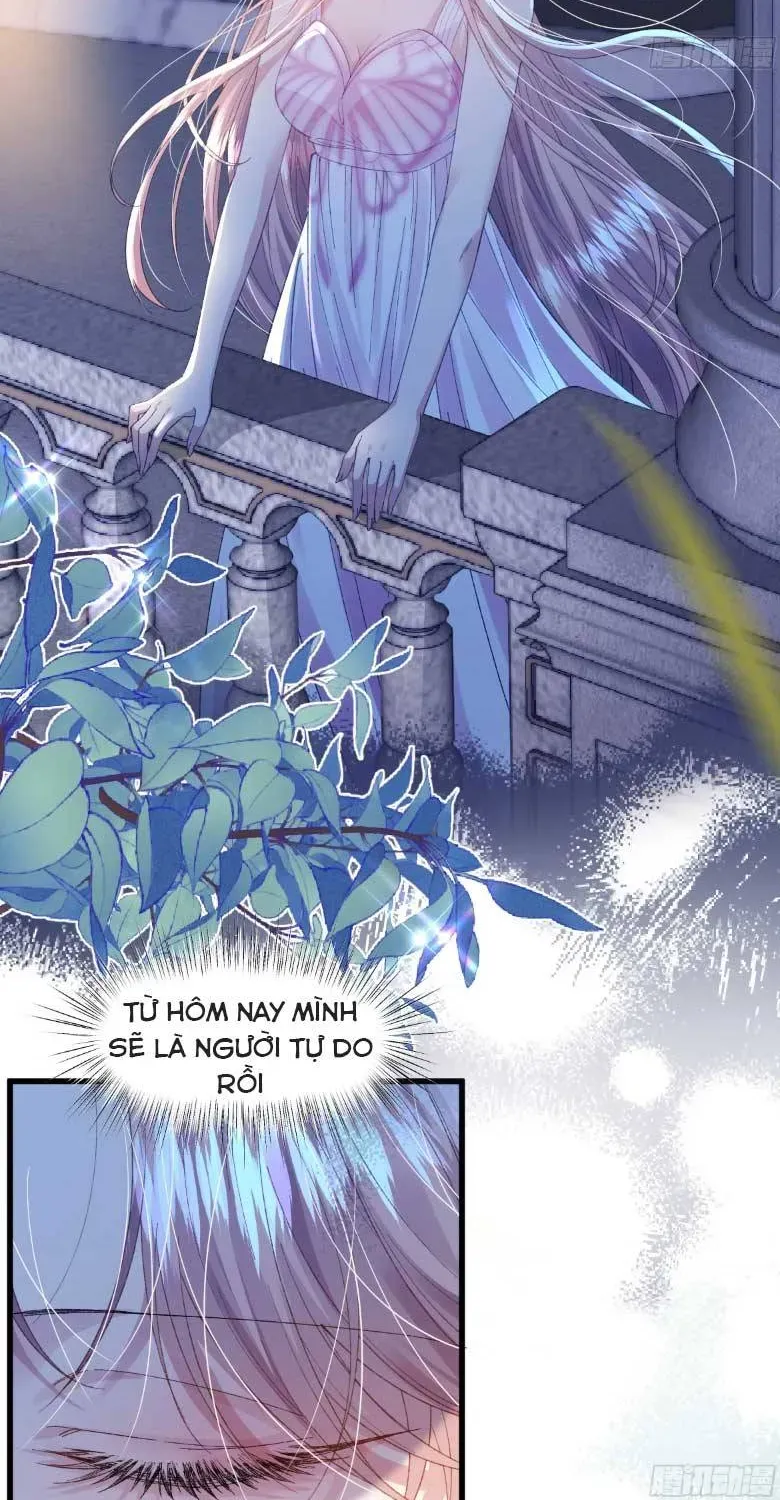Nữ Chính  Truyện Ngược Luyến Tình Yêu Đã Thức Tỉnh Chapter 2 - Trang 37