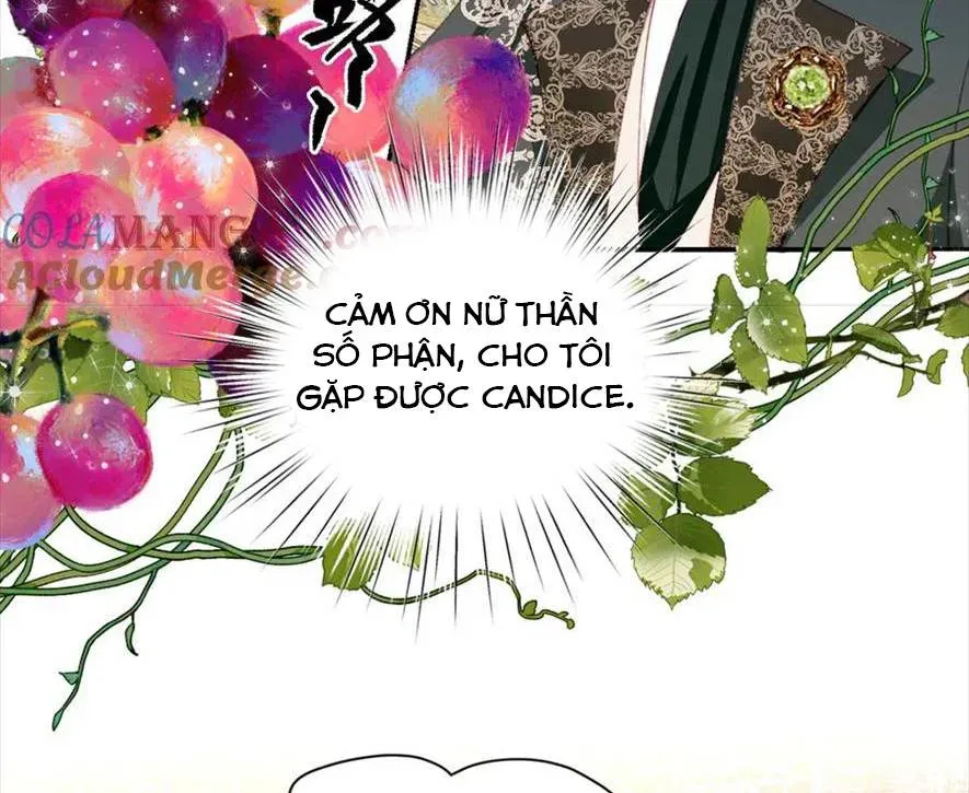 Nữ Chính  Truyện Ngược Luyến Tình Yêu Đã Thức Tỉnh Chapter 20 - Trang 46
