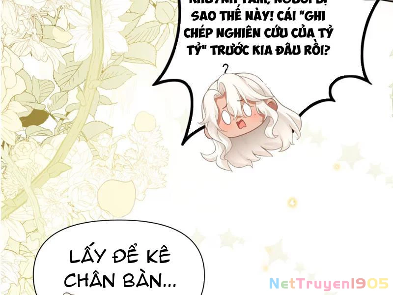 Nữ Đế? Ta chỉ cùng nương tử yêu đương! Chapter 8 - Trang 13