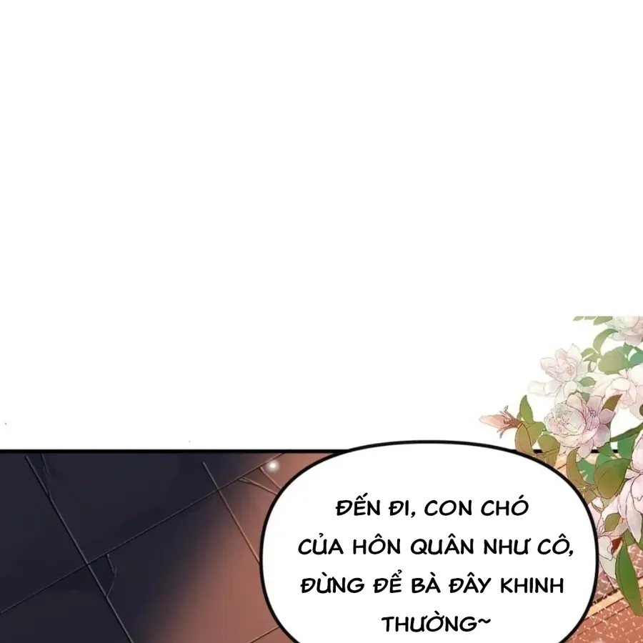 Nữ Đế, Ta Chỉ Yêu Đương Với Nương Tử Chapter 23 - Trang 32