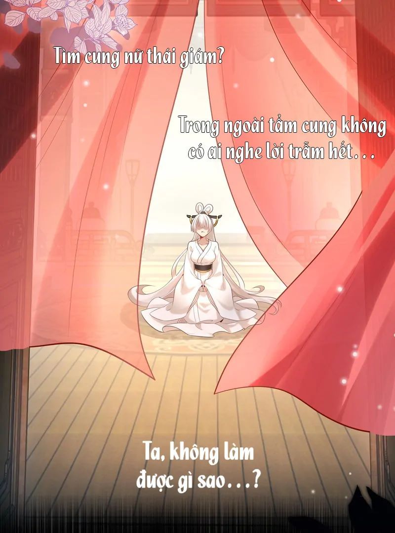 Nữ Đế, Ta Chỉ Yêu Đương Với Nương Tử Chapter 5 - Trang 6