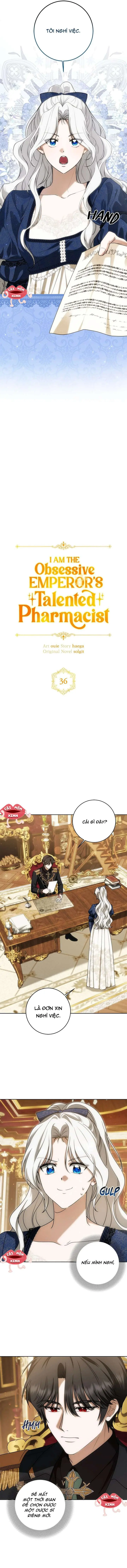 Nữ Dược Sư Của Vị Hoàng Đế Si Tình Chapter 36 - Trang 11