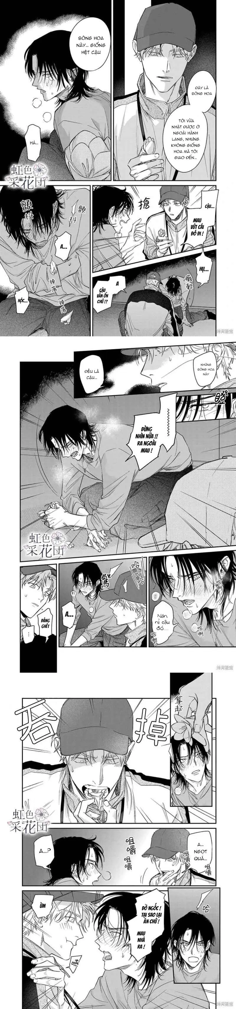 Nụ Hôn Cho Kẻ Trộm Hoa Chapter 1 - Trang 4