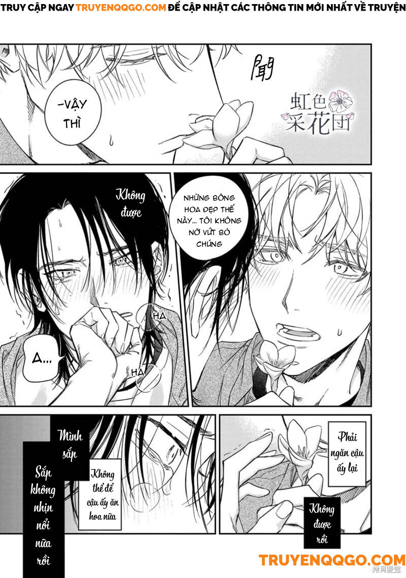 Nụ Hôn Cho Kẻ Trộm Hoa Chapter 3 - Trang 29