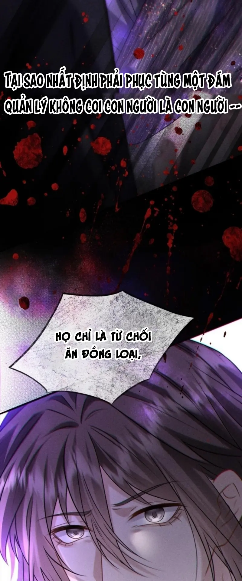 Nụ Hôn Nhẹ Lên Đóa Hoa Tuyệt Vọng Chapter 36 - Trang 35