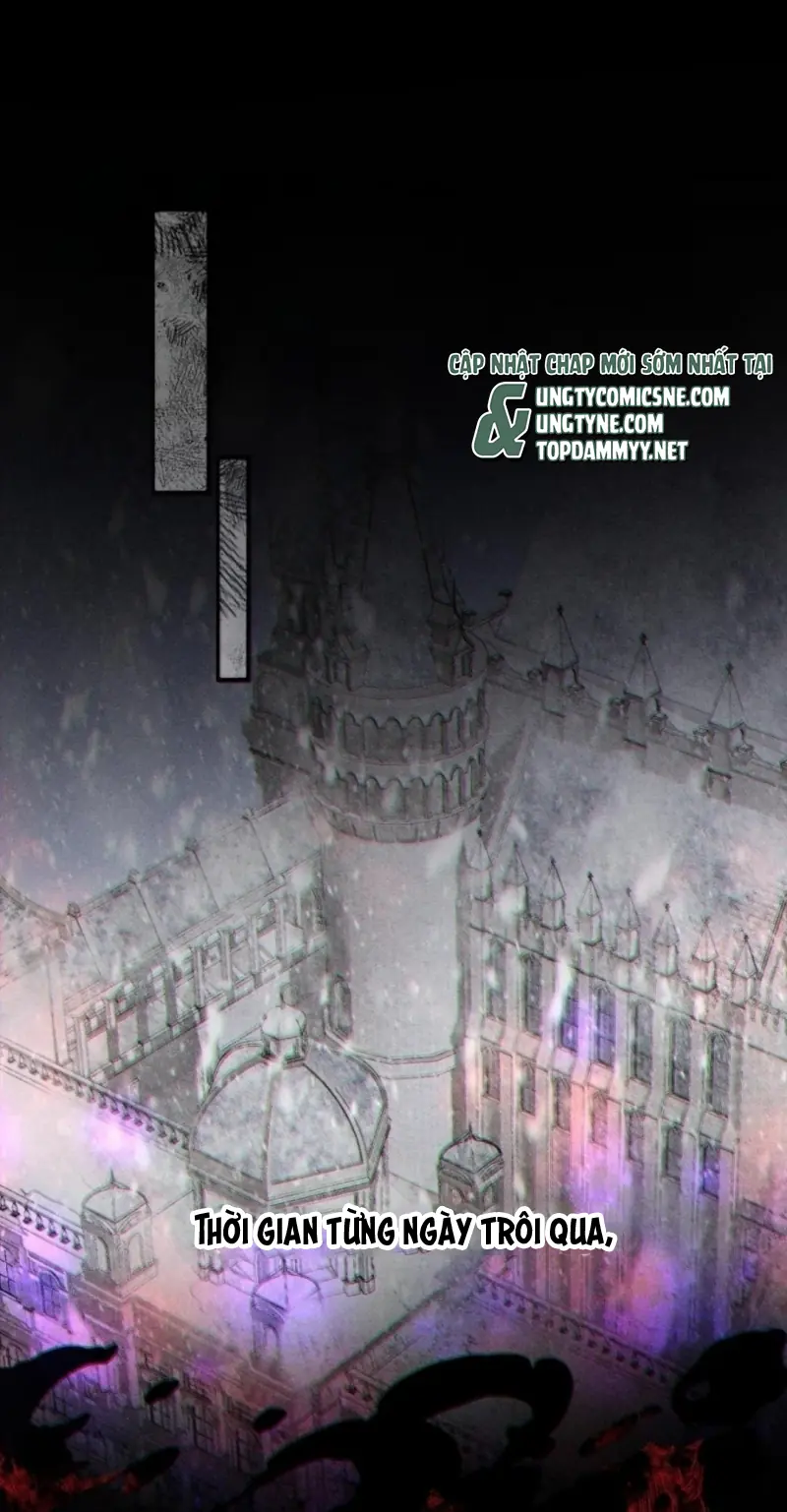 Nụ Hôn Nhẹ Lên Đóa Hoa Tuyệt Vọng Chapter 36 - Trang 5