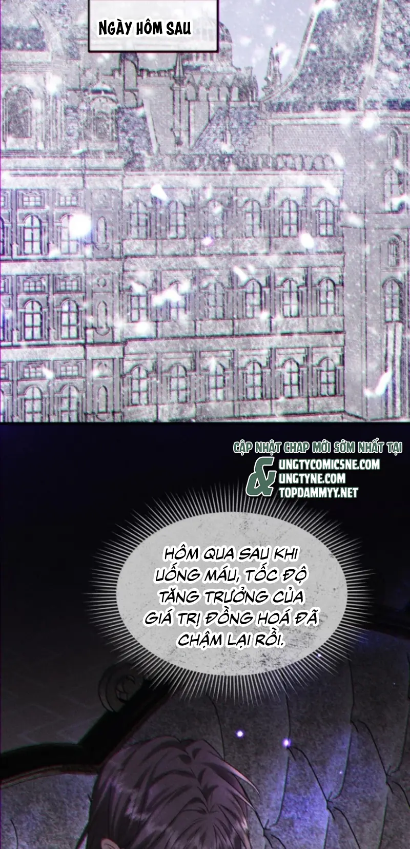 Nụ Hôn Nhẹ Lên Đóa Hoa Tuyệt Vọng Chapter 42 - Trang 14