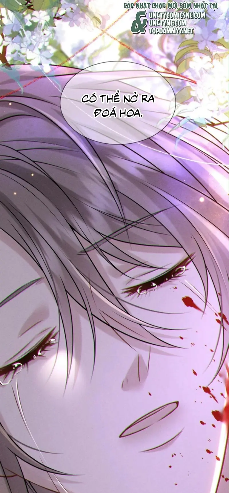 Nụ Hôn Nhẹ Lên Đóa Hoa Tuyệt Vọng Chapter 51 - Trang 14