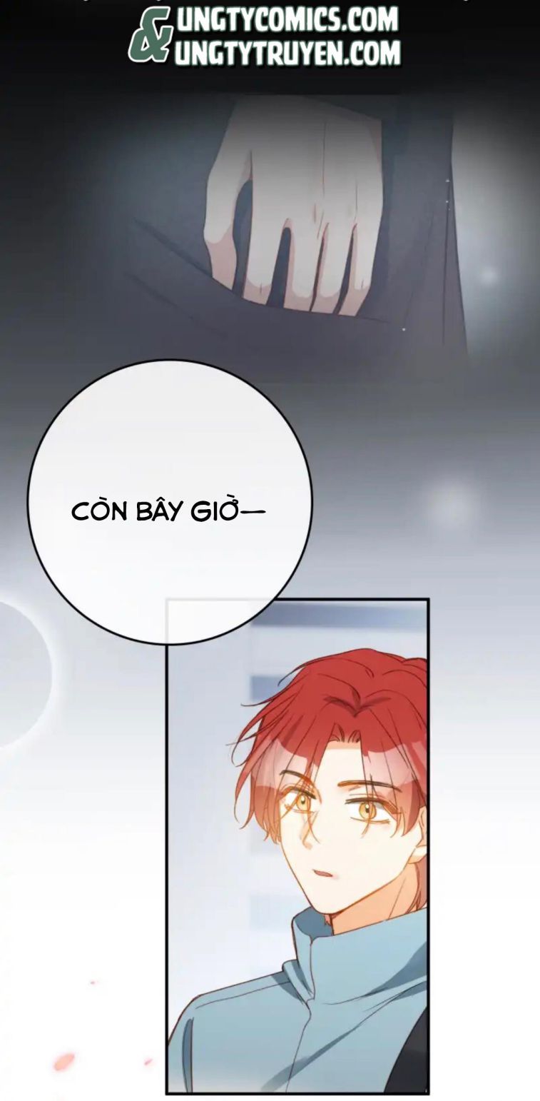 Nụ Hôn Vực Thẳm Chapter 104 - Trang 38