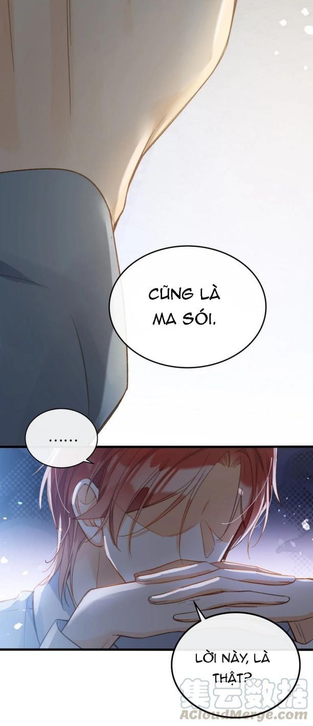 Nụ Hôn Vực Thẳm Chapter 67 - Trang 4