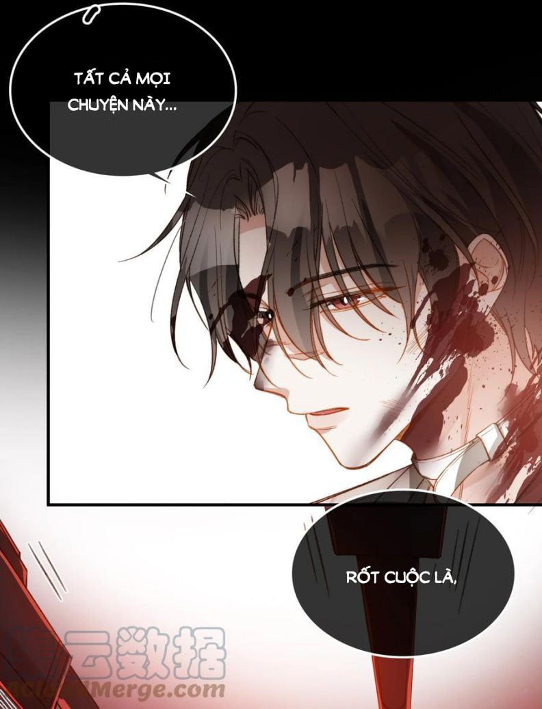 Nụ Hôn Vực Thẳm Chapter 95 - Trang 12